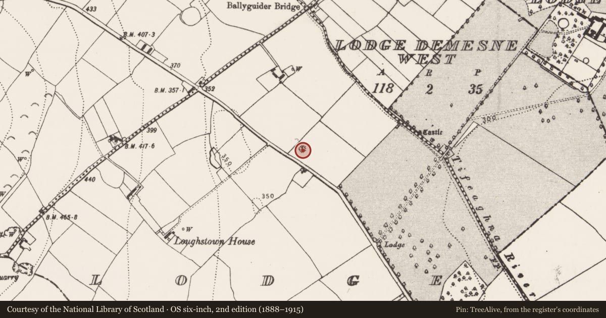 Ordnance Survey six-inch map, 2nd edition (1888–1915) covering the location of Barrow - mound barrow, Lodge, County Kilkenny, with a pin at the register's coordinates