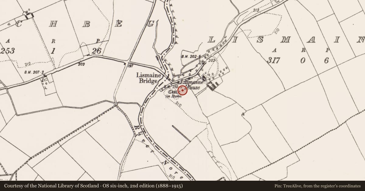 Ordnance Survey six-inch map, 2nd edition (1888–1915) covering the location of Castle - tower house, Lismaine, County Kilkenny, with a pin at the register's coordinates