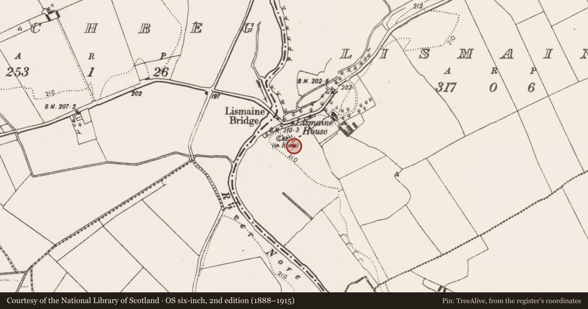 Ordnance Survey six-inch map, 2nd edition (1888–1915) covering the location of Earthwork, Lismaine, County Kilkenny, with a pin at the register's coordinates