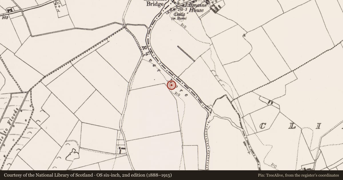 Ordnance Survey six-inch map, 2nd edition (1888–1915) covering the location of Enclosure, Inchmore, County Kilkenny, with a pin at the register's coordinates