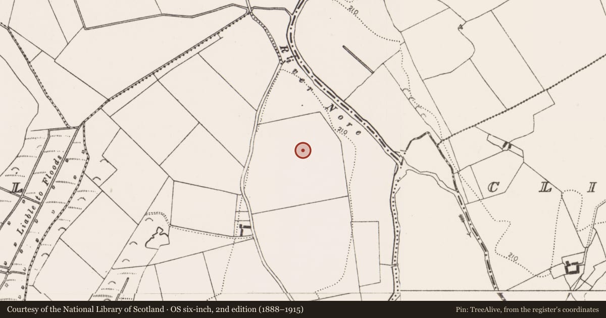 Ordnance Survey six-inch map, 2nd edition (1888–1915) covering the location of Road - road/trackway, Inchmore, County Kilkenny, with a pin at the register's coordinates