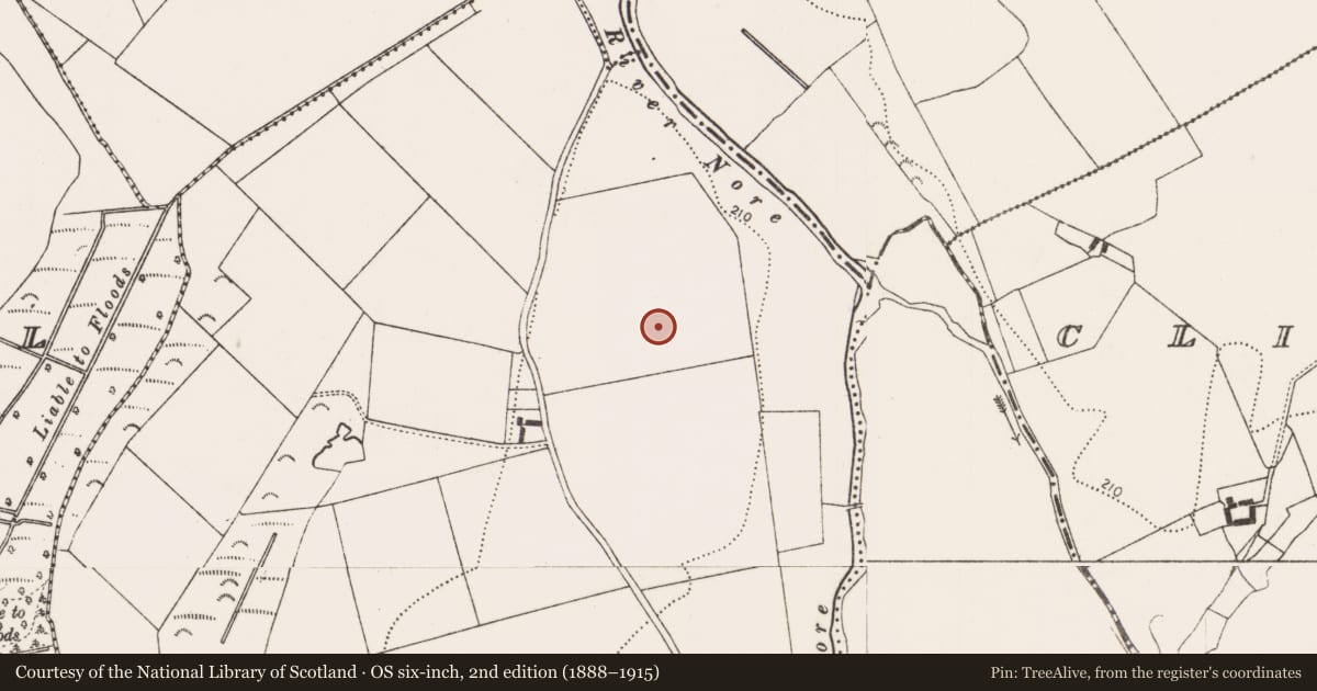 Ordnance Survey six-inch map, 2nd edition (1888–1915) covering the location of Ring-ditch, Inchmore, County Kilkenny, with a pin at the register's coordinates