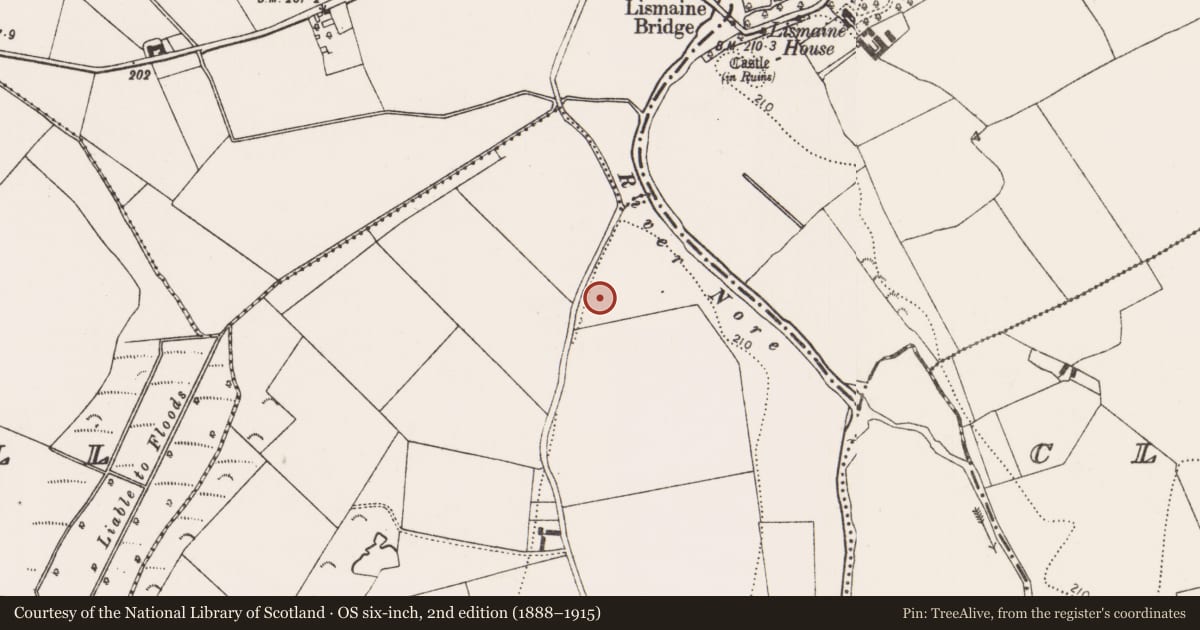Ordnance Survey six-inch map, 2nd edition (1888–1915) covering the location of Enclosure, Inchmore, County Kilkenny, with a pin at the register's coordinates