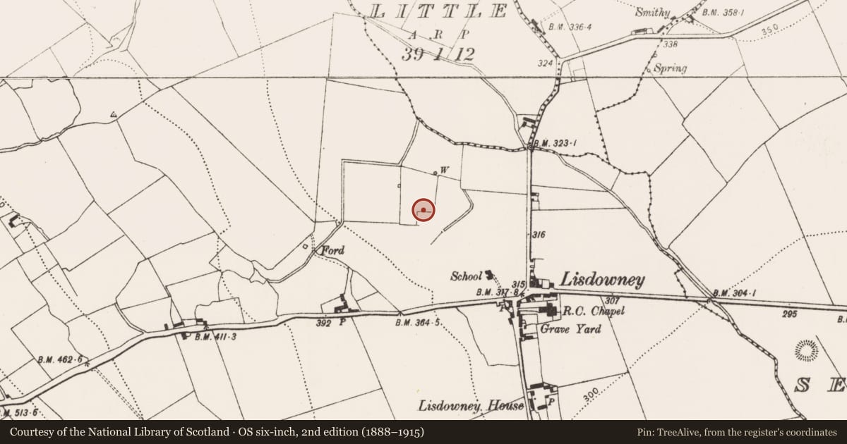 Ordnance Survey six-inch map, 2nd edition (1888–1915) covering the location of Castle - unclassified, Lisdowney, County Kilkenny, with a pin at the register's coordinates