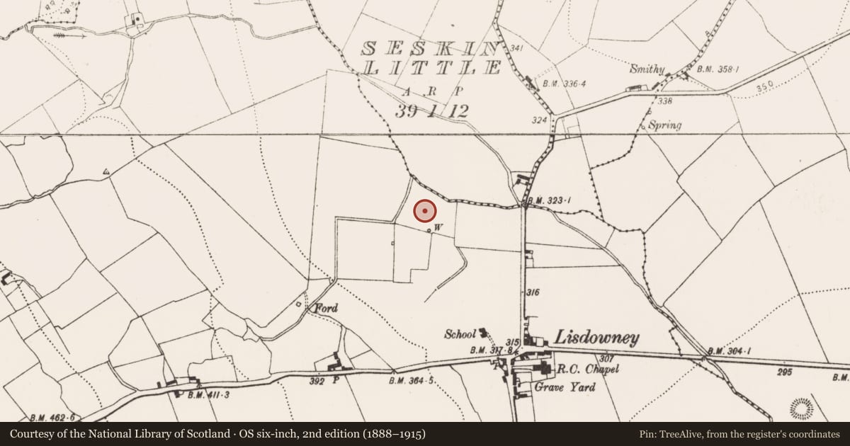 Ordnance Survey six-inch map, 2nd edition (1888–1915) covering the location of Moated site, Lisdowney, County Kilkenny, with a pin at the register's coordinates