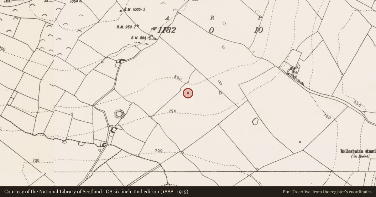 Ordnance Survey six-inch map, 2nd edition (1888–1915) covering the location of Enclosure, Killoshulan, County Kilkenny, with a pin at the register's coordinates