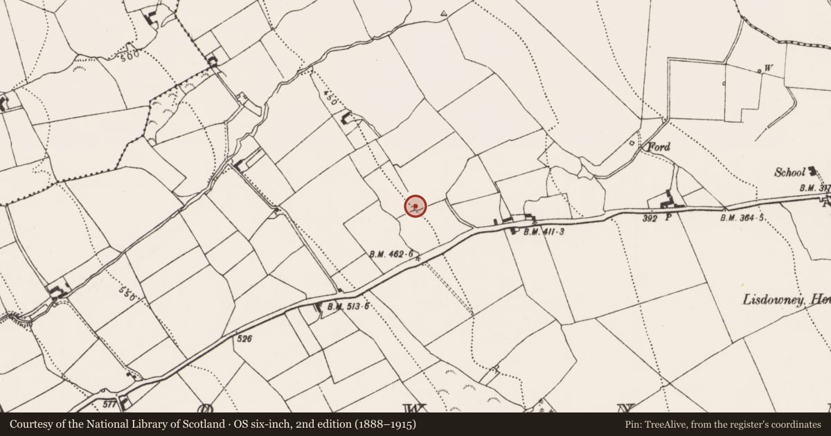 Ordnance Survey six-inch map, 2nd edition (1888–1915) covering the location of Fulacht fia, Lisdowney, County Kilkenny, with a pin at the register's coordinates