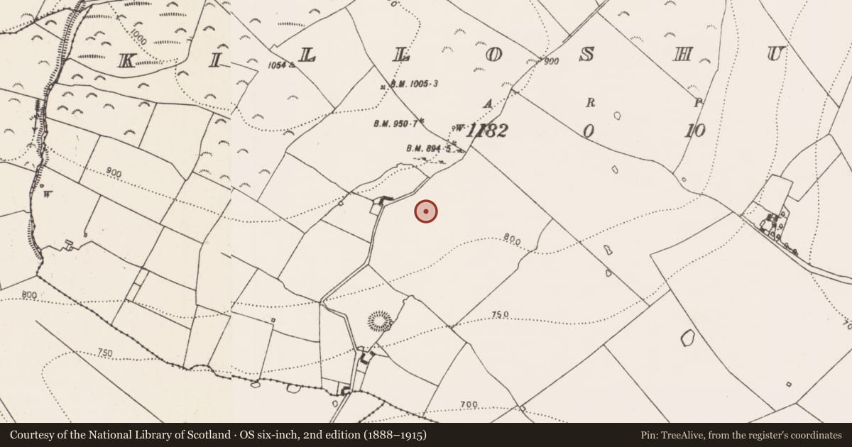 Ordnance Survey six-inch map, 2nd edition (1888–1915) covering the location of Field system, Killoshulan, County Kilkenny, with a pin at the register's coordinates