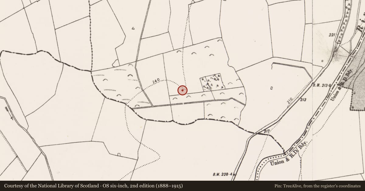 Ordnance Survey six-inch map, 2nd edition (1888–1915) covering the location of Enclosure, Parksgrove, County Kilkenny, with a pin at the register's coordinates