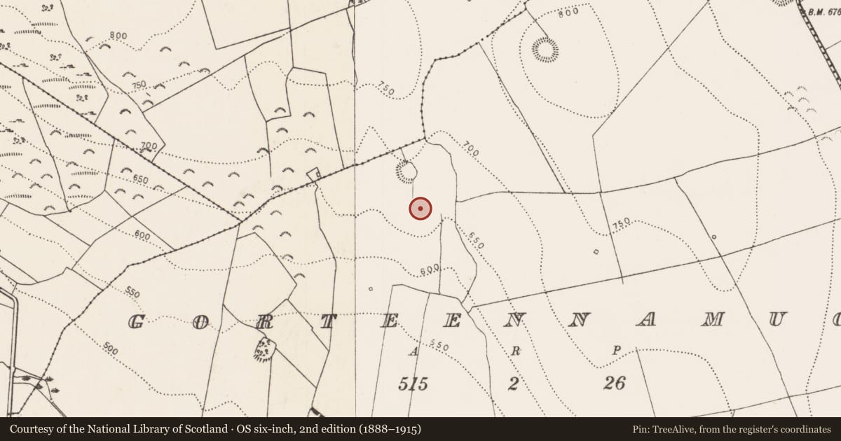 Ordnance Survey six-inch map, 2nd edition (1888–1915) covering the location of Enclosure, Gorteennamuck, County Kilkenny, with a pin at the register's coordinates