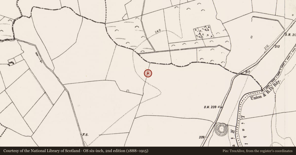 Ordnance Survey six-inch map, 2nd edition (1888–1915) covering the location of Fulacht fia, Grange, County Kilkenny, with a pin at the register's coordinates