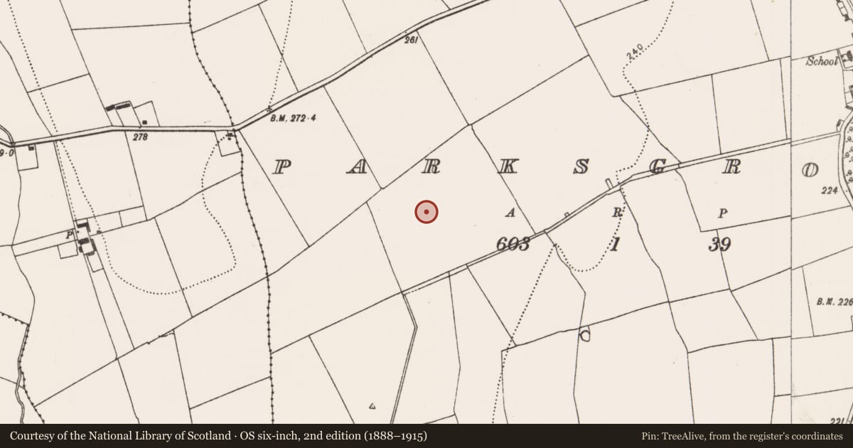 Ordnance Survey six-inch map, 2nd edition (1888–1915) covering the location of Metalworking site, Parksgrove, County Kilkenny, with a pin at the register's coordinates