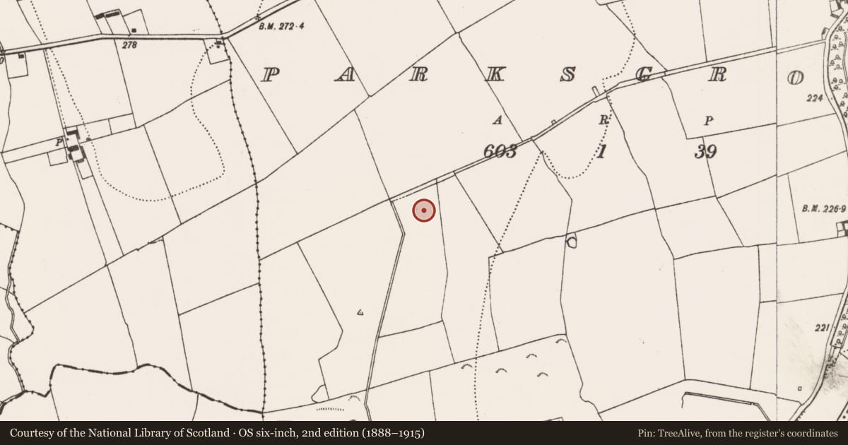 Ordnance Survey six-inch map, 2nd edition (1888–1915) covering the location of Fulacht fia, Parksgrove, County Kilkenny, with a pin at the register's coordinates