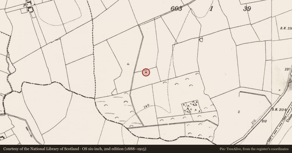 Ordnance Survey six-inch map, 2nd edition (1888–1915) covering the location of Fulacht fia, Parksgrove, County Kilkenny, with a pin at the register's coordinates