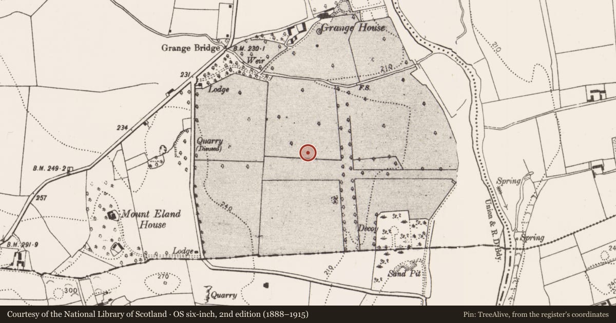 Ordnance Survey six-inch map, 2nd edition (1888–1915) covering the location of Enclosure, Grange, County Kilkenny, with a pin at the register's coordinates