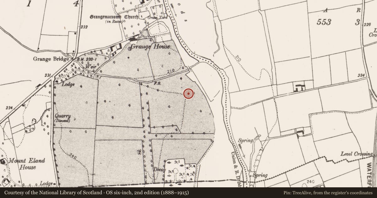Ordnance Survey six-inch map, 2nd edition (1888–1915) covering the location of Enclosure, Grange, County Kilkenny, with a pin at the register's coordinates