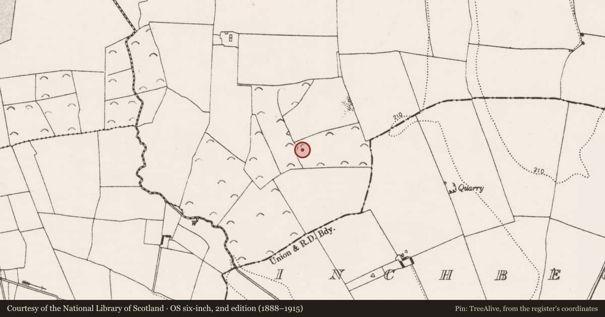 Ordnance Survey six-inch map, 2nd edition (1888–1915) covering the location of Enclosure, Rathbeagh, County Kilkenny, with a pin at the register's coordinates