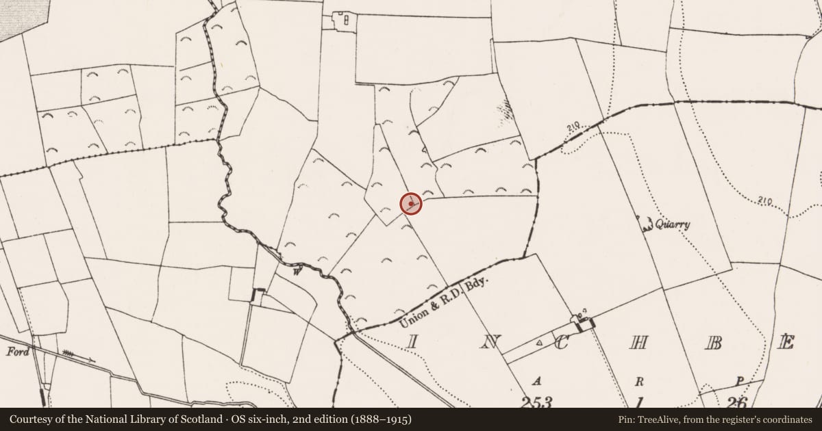 Ordnance Survey six-inch map, 2nd edition (1888–1915) covering the location of Field system, Rathbeagh, County Kilkenny, with a pin at the register's coordinates