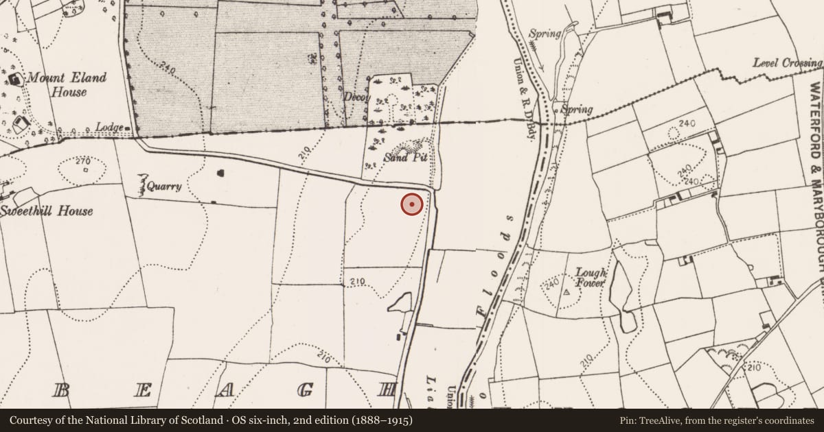 Ordnance Survey six-inch map, 2nd edition (1888–1915) covering the location of Enclosure, Rathbeagh, County Kilkenny, with a pin at the register's coordinates