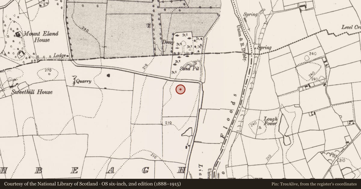 Ordnance Survey six-inch map, 2nd edition (1888–1915) covering the location of Field system, Rathbeagh, County Kilkenny, with a pin at the register's coordinates