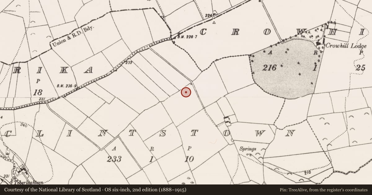Ordnance Survey six-inch map, 2nd edition (1888–1915) covering the location of Enclosure, Clintstown, County Kilkenny, with a pin at the register's coordinates