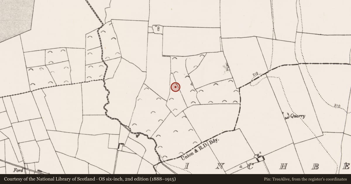 Ordnance Survey six-inch map, 2nd edition (1888–1915) covering the location of Road - road/trackway, Rathbeagh, County Kilkenny, with a pin at the register's coordinates
