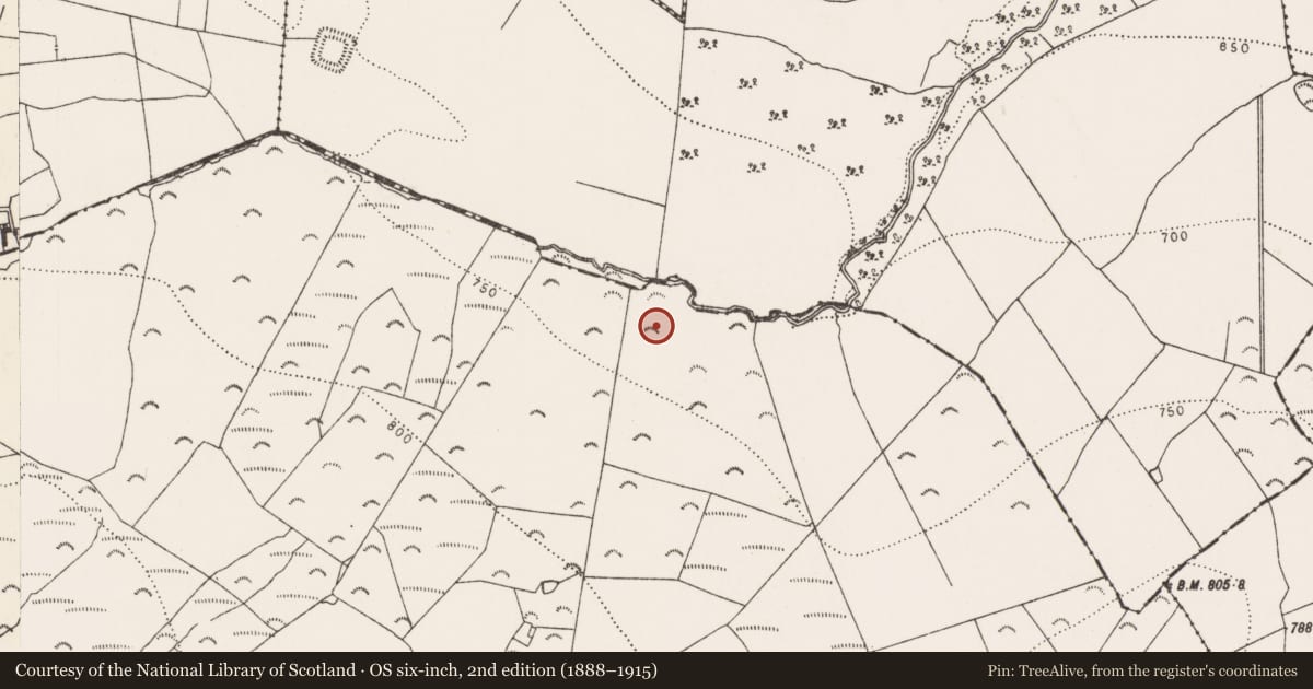Ordnance Survey six-inch map, 2nd edition (1888–1915) covering the location of Field system, Killoshulan, County Kilkenny, with a pin at the register's coordinates
