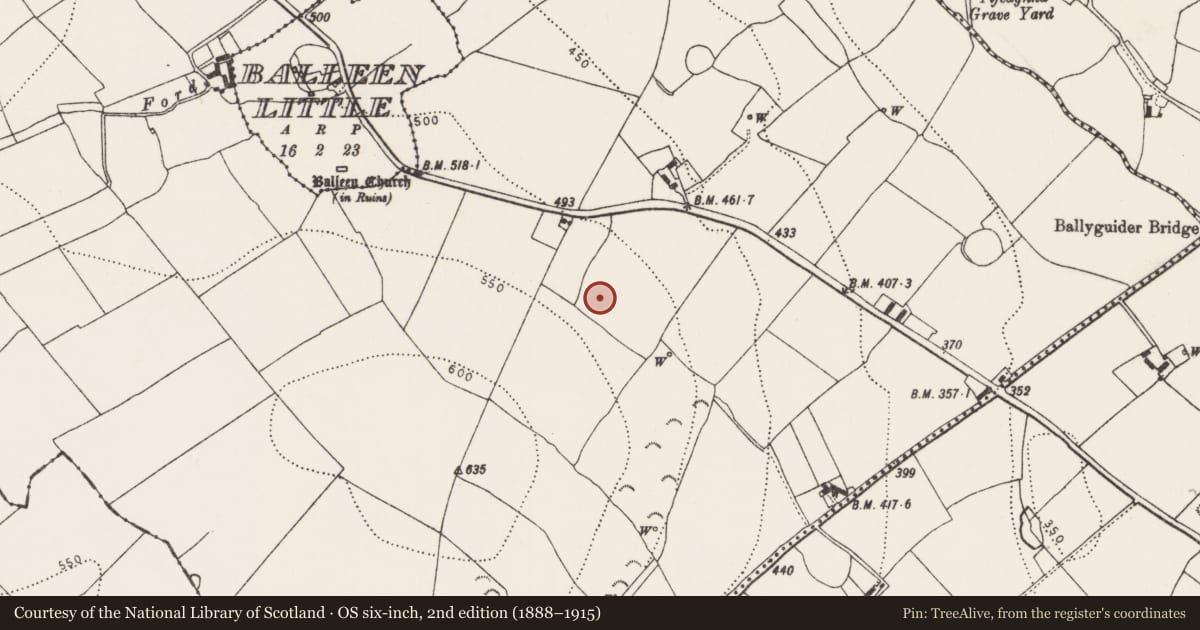 Ordnance Survey six-inch map, 2nd edition (1888–1915) covering the location of Enclosure, Balleen Lower, County Kilkenny, with a pin at the register's coordinates