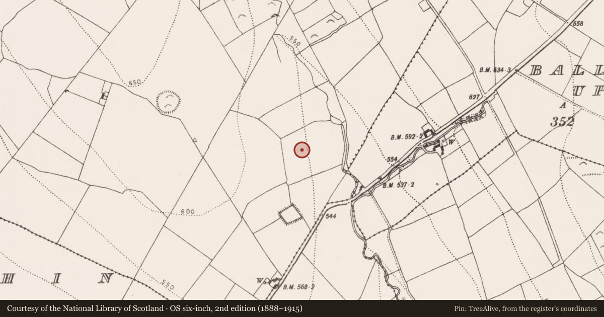 Ordnance Survey six-inch map, 2nd edition (1888–1915) covering the location of Enclosure, Ballygowney, County Kilkenny, with a pin at the register's coordinates