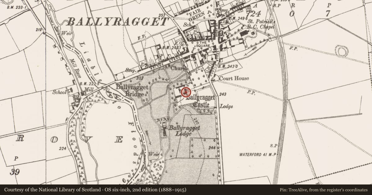Ordnance Survey six-inch map, 2nd edition (1888–1915) covering the location of Castle - tower house, Ballyragget, County Kilkenny, with a pin at the register's coordinates