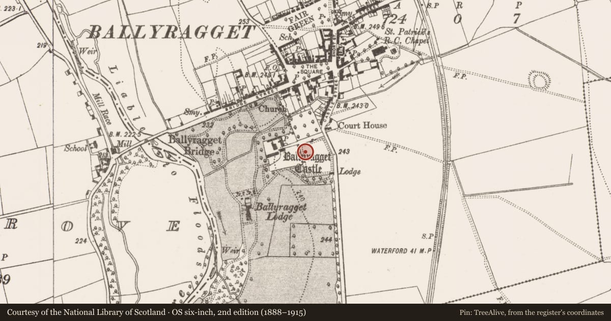 Ordnance Survey six-inch map, 2nd edition (1888–1915) covering the location of Enclosure, Ballyragget, County Kilkenny, with a pin at the register's coordinates