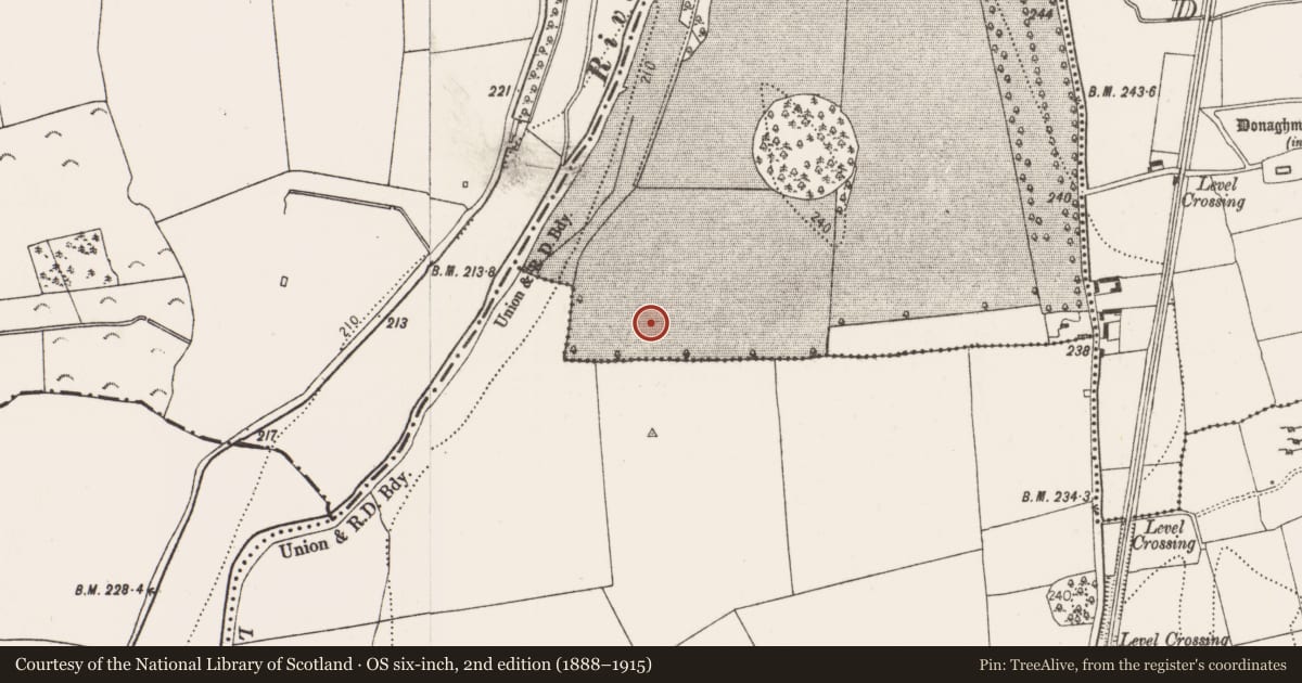 Ordnance Survey six-inch map, 2nd edition (1888–1915) covering the location of Ring-ditch, Ballyragget, County Kilkenny, with a pin at the register's coordinates