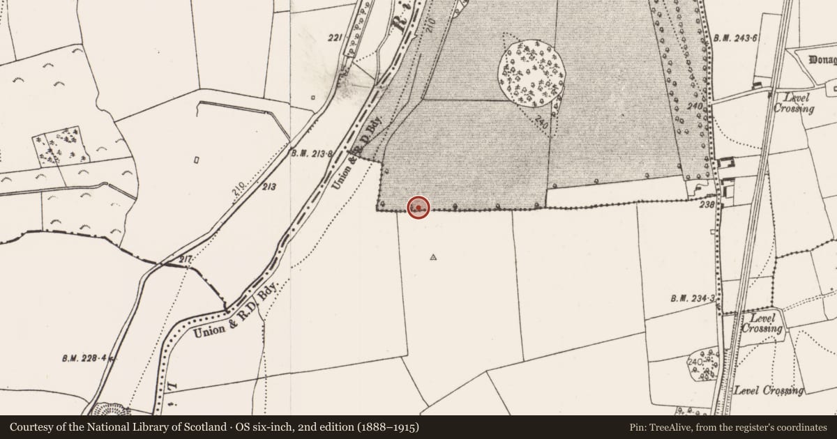 Ordnance Survey six-inch map, 2nd edition (1888–1915) covering the location of Ring-ditch, Ballyragget, County Kilkenny, with a pin at the register's coordinates