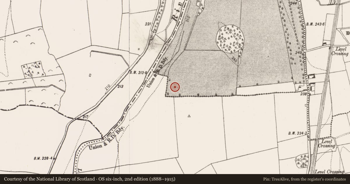 Ordnance Survey six-inch map, 2nd edition (1888–1915) covering the location of Road - road/trackway, Ballyragget, County Kilkenny, with a pin at the register's coordinates