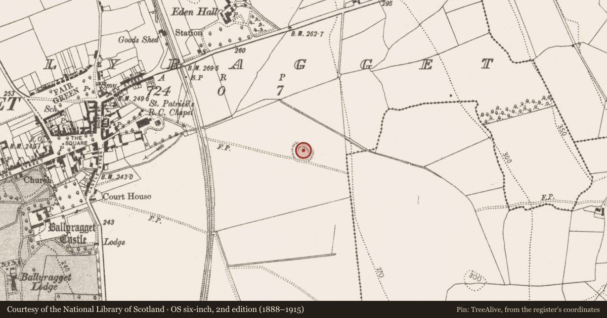 Ordnance Survey six-inch map, 2nd edition (1888–1915) covering the location of Ringfort - unclassified, Ballyragget, County Kilkenny, with a pin at the register's coordinates