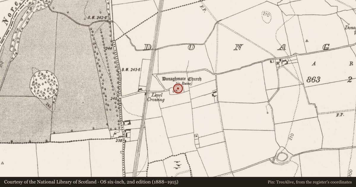 Ordnance Survey six-inch map, 2nd edition (1888–1915) covering the location of Graveyard, Donaghmore, County Kilkenny, with a pin at the register's coordinates