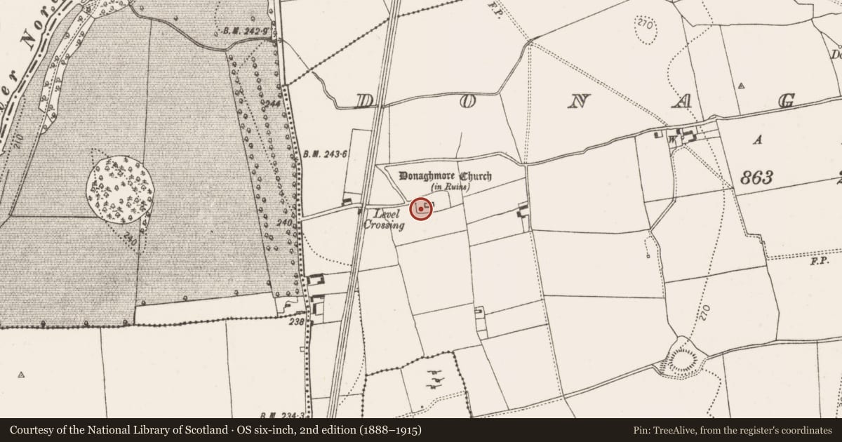 Ordnance Survey six-inch map, 2nd edition (1888–1915) covering the location of Headstone, Donaghmore, County Kilkenny, with a pin at the register's coordinates