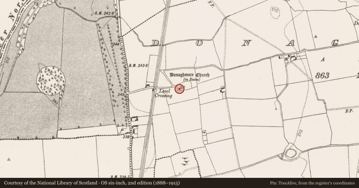 Ordnance Survey six-inch map, 2nd edition (1888–1915) covering the location of Headstone, Donaghmore, County Kilkenny, with a pin at the register's coordinates