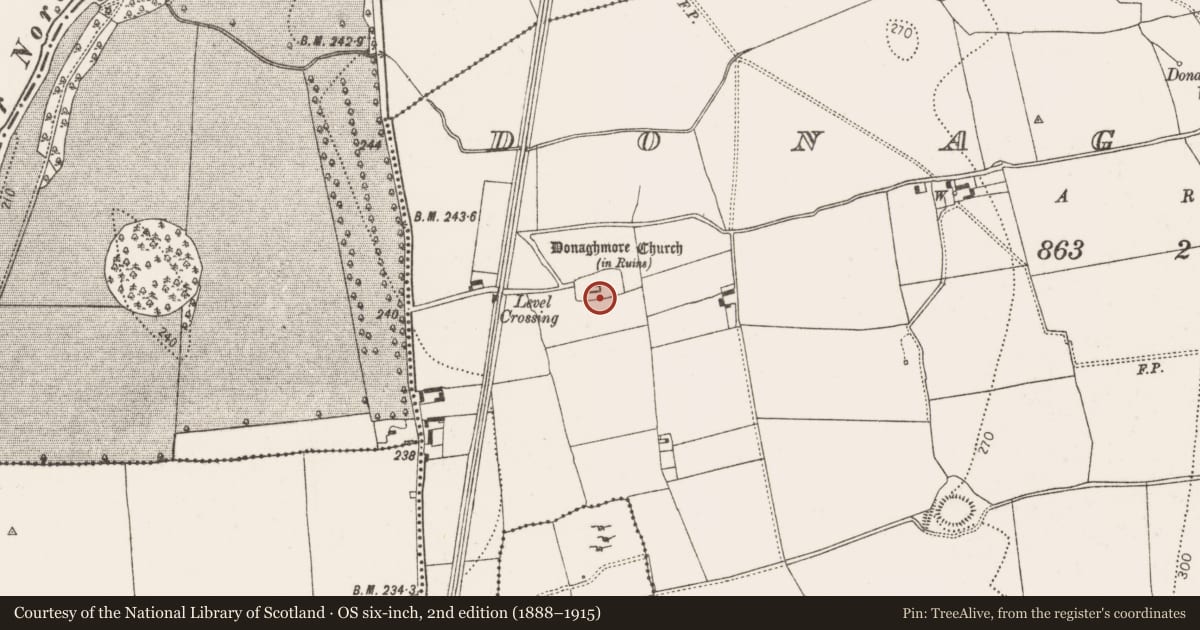 Ordnance Survey six-inch map, 2nd edition (1888–1915) covering the location of Tomb - chest tomb, Donaghmore, County Kilkenny, with a pin at the register's coordinates