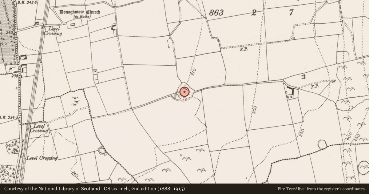 Ordnance Survey six-inch map, 2nd edition (1888–1915) covering the location of Ringfort - unclassified, Donaghmore, County Kilkenny, with a pin at the register's coordinates