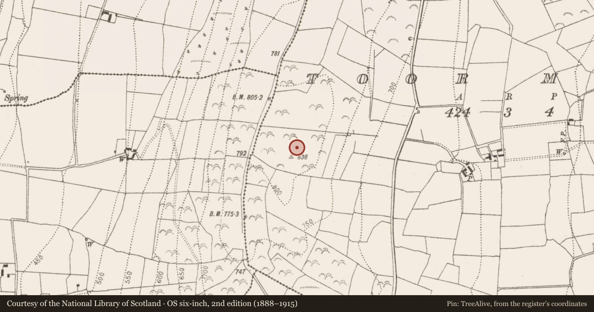 Ordnance Survey six-inch map, 2nd edition (1888–1915) covering the location of Hillfort, Donaghmore, Toor More, County Kilkenny, with a pin at the register's coordinates