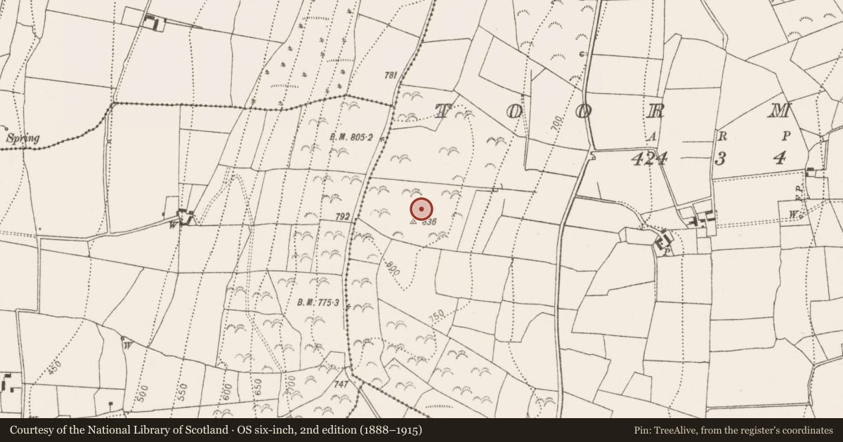 Ordnance Survey six-inch map, 2nd edition (1888–1915) covering the location of Burial, Toor More, County Kilkenny, with a pin at the register's coordinates