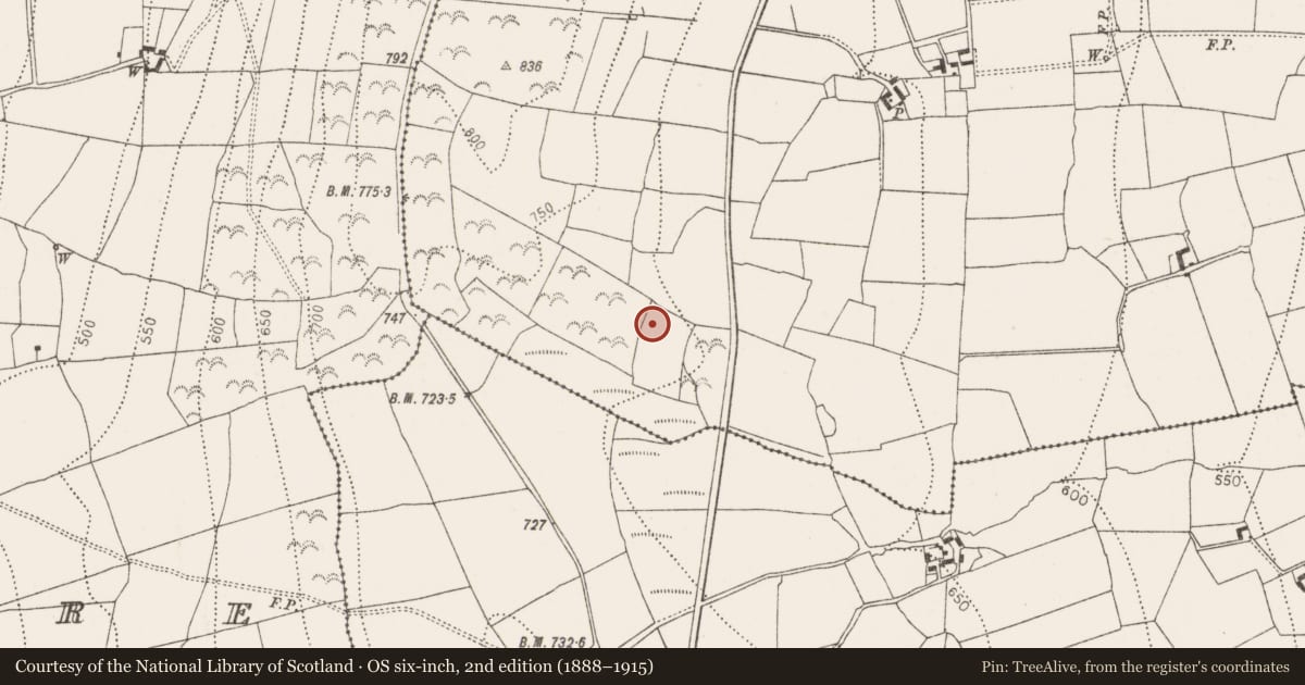 Ordnance Survey six-inch map, 2nd edition (1888–1915) covering the location of Enclosure, Toor More, County Kilkenny, with a pin at the register's coordinates