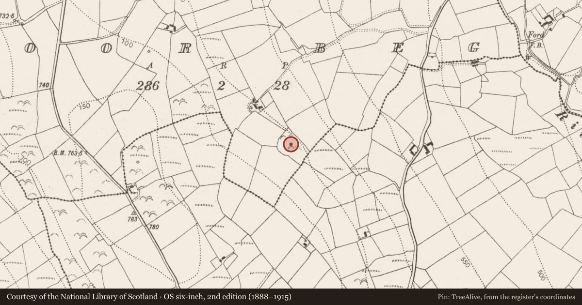 Ordnance Survey six-inch map, 2nd edition (1888–1915) covering the location of Enclosure, Toor Beg, County Kilkenny, with a pin at the register's coordinates