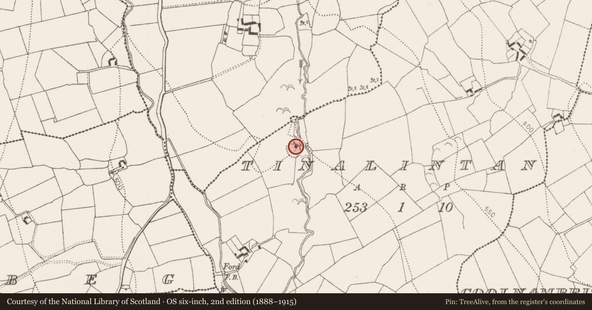 Ordnance Survey six-inch map, 2nd edition (1888–1915) covering the location of Ringfort - rath, Tinalintan, County Kilkenny, with a pin at the register's coordinates