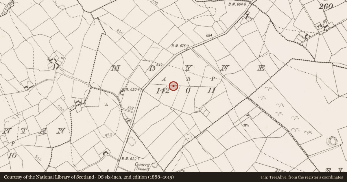 Ordnance Survey six-inch map, 2nd edition (1888–1915) covering the location of Fulacht fia, Moyne, County Kilkenny, with a pin at the register's coordinates