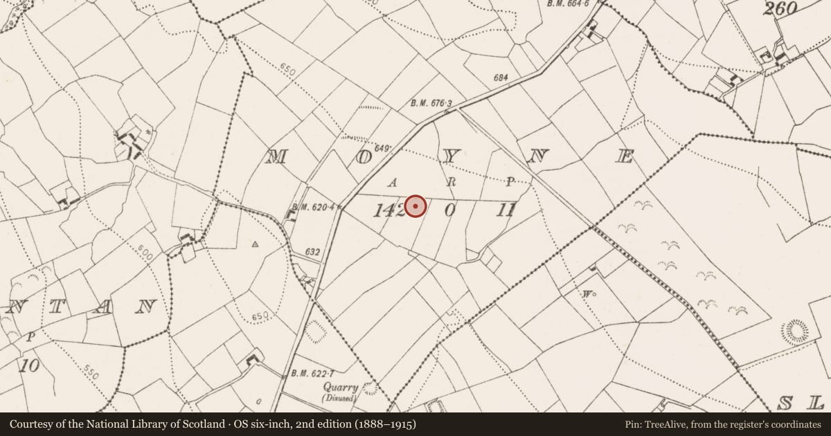 Ordnance Survey six-inch map, 2nd edition (1888–1915) covering the location of Fulacht fia, Moyne, County Kilkenny, with a pin at the register's coordinates