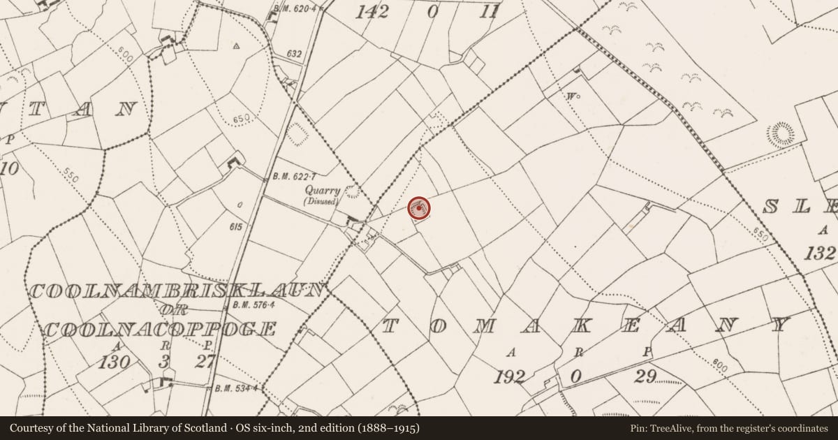 Ordnance Survey six-inch map, 2nd edition (1888–1915) covering the location of Moated site, Tomakeany, County Kilkenny, with a pin at the register's coordinates