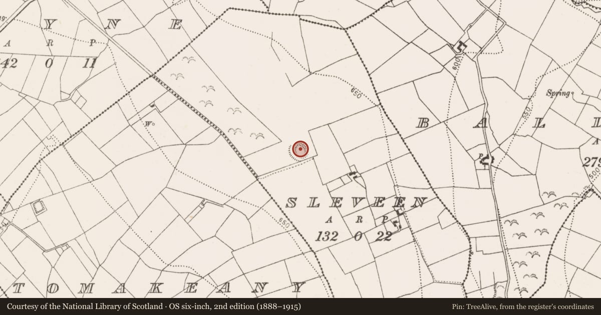 Ordnance Survey six-inch map, 2nd edition (1888–1915) covering the location of Ringfort - rath, Sleveen, County Kilkenny, with a pin at the register's coordinates