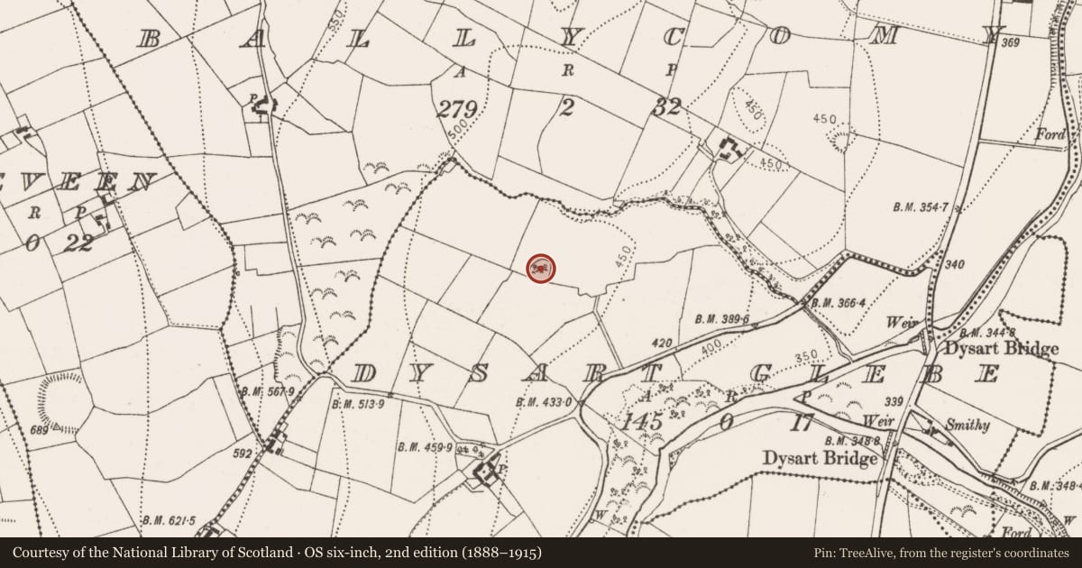 Ordnance Survey six-inch map, 2nd edition (1888–1915) covering the location of Ringfort - rath, Dysart Glebe, County Kilkenny, with a pin at the register's coordinates